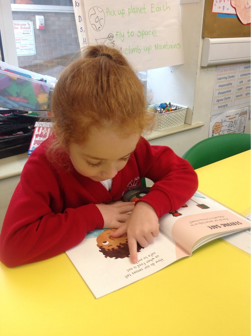 Y1 Reading for Pleasure (Non Fiction)